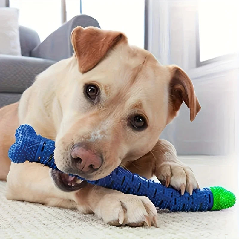 NOVELTY MOON Dog Dental Chew Toy for Teeth Cleaning and Training