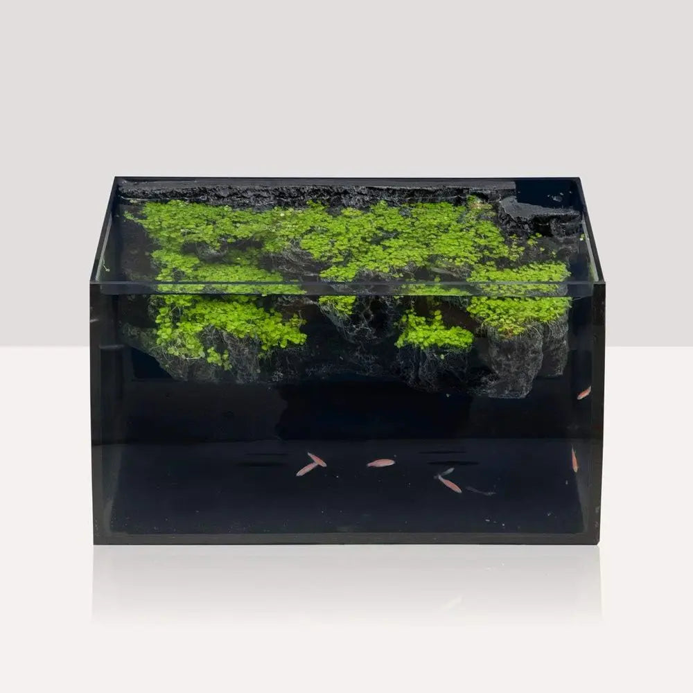 LED Glass Aquarium Starter Kit With 7W Filter Pump And 18W LED Light