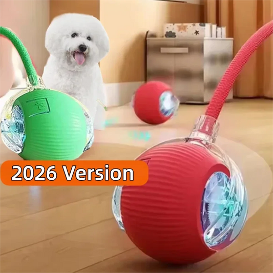Automatic Rolling Interactive Dog Ball Toy Rechargeable Smart Puppy Toy