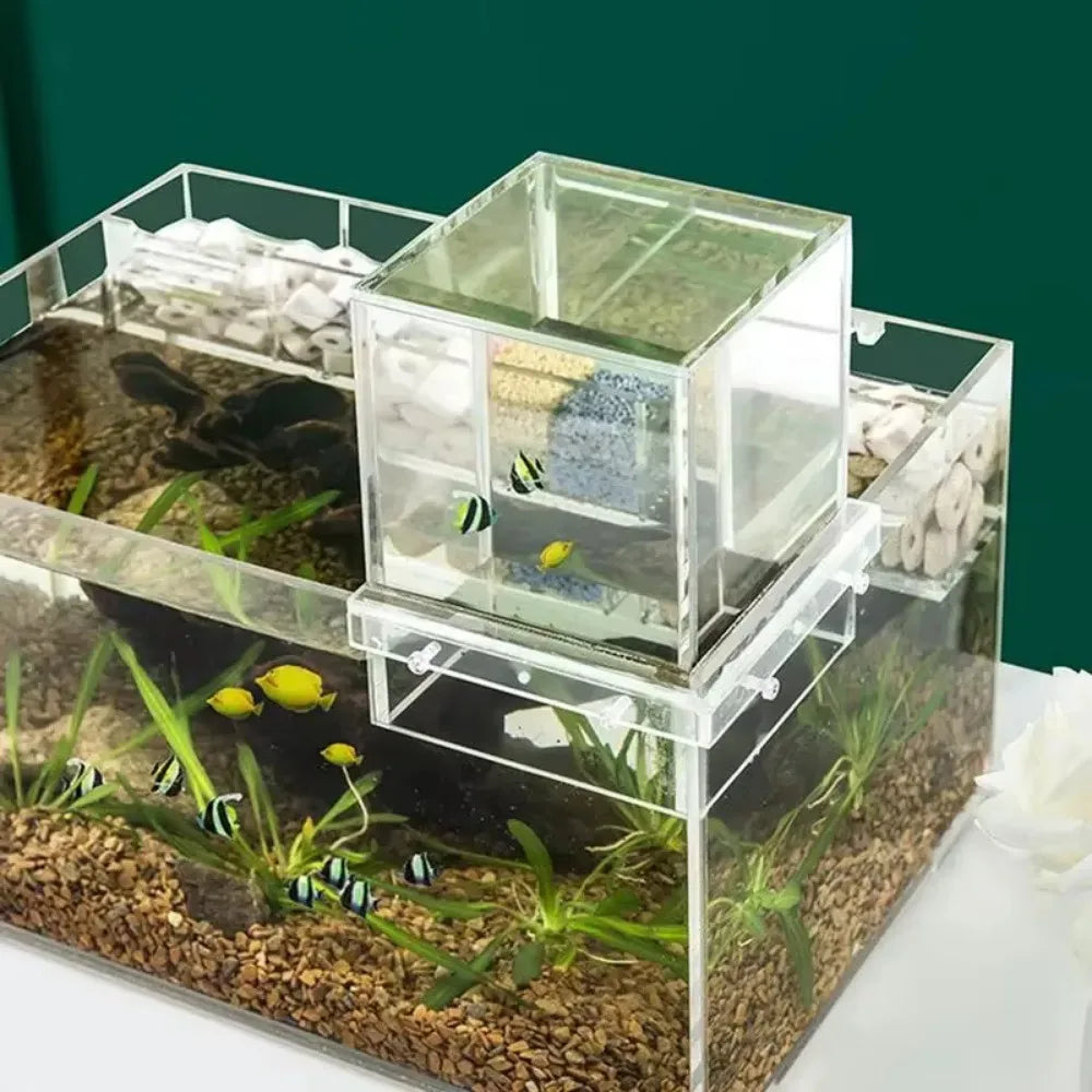 Landscaping Negative Pressure Fish Tank Unique Eye-catching Acrylic Suspended Fish Tank Easy to Install