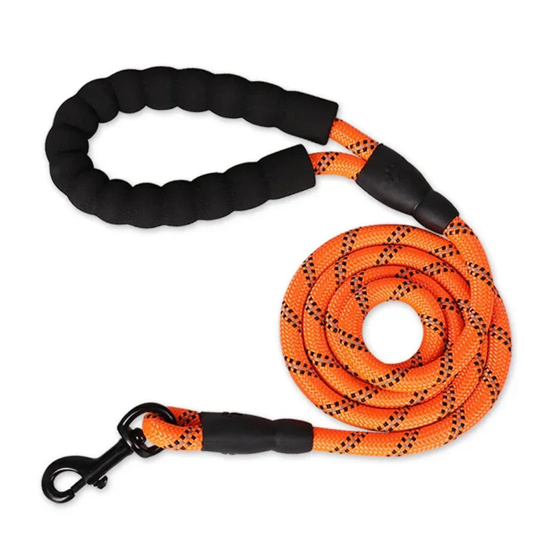 Reflective Dog Leash With Soft Handle And Reinforced Build