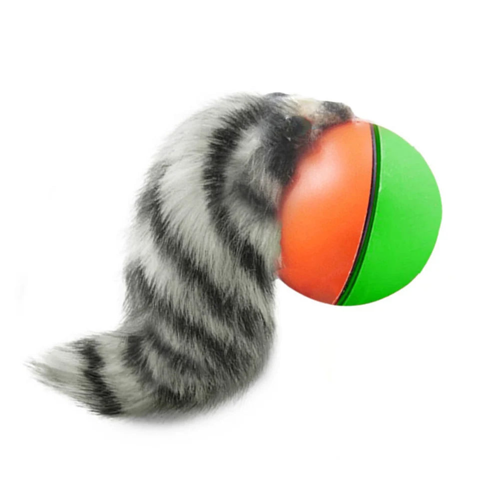 Alloet Cat Interactive Ball Toys Automatic Rolling Ball Indoor Cats