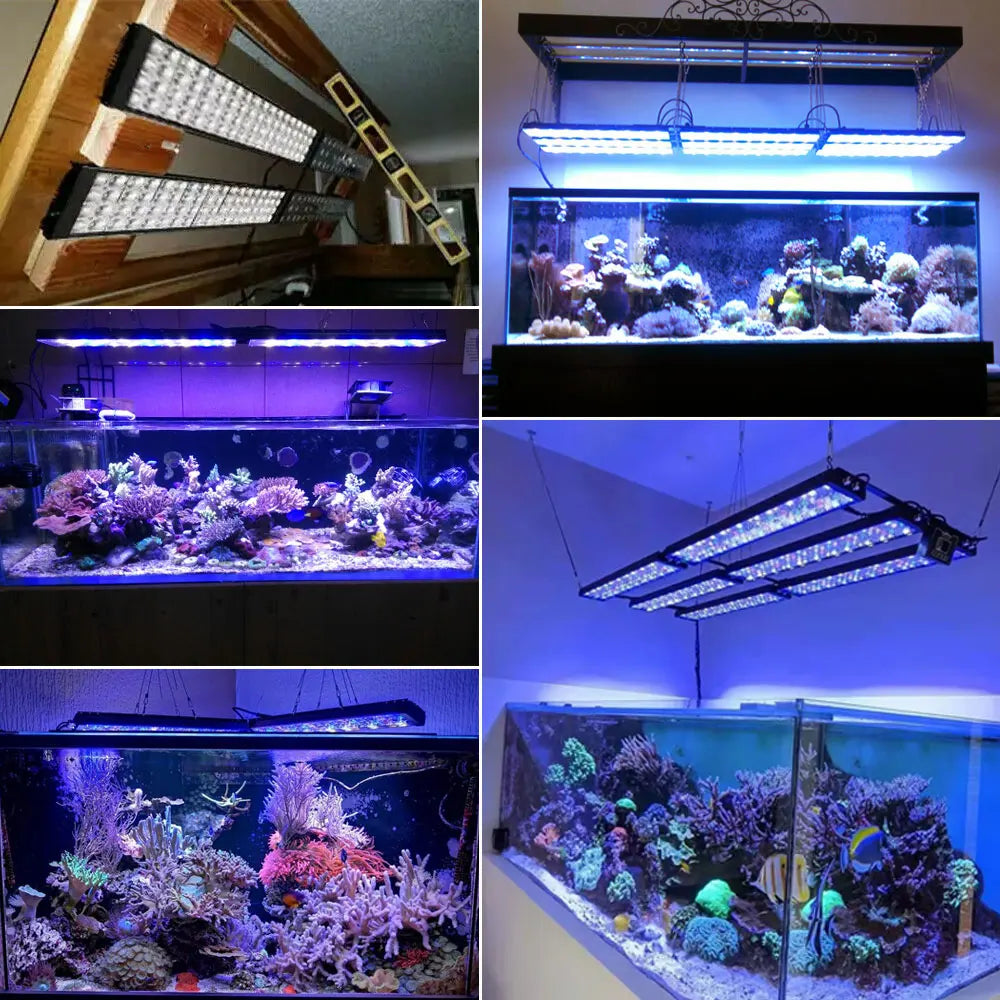 PopBloom WiFi Aquarium Light Full Spectrum For Reef Tanks