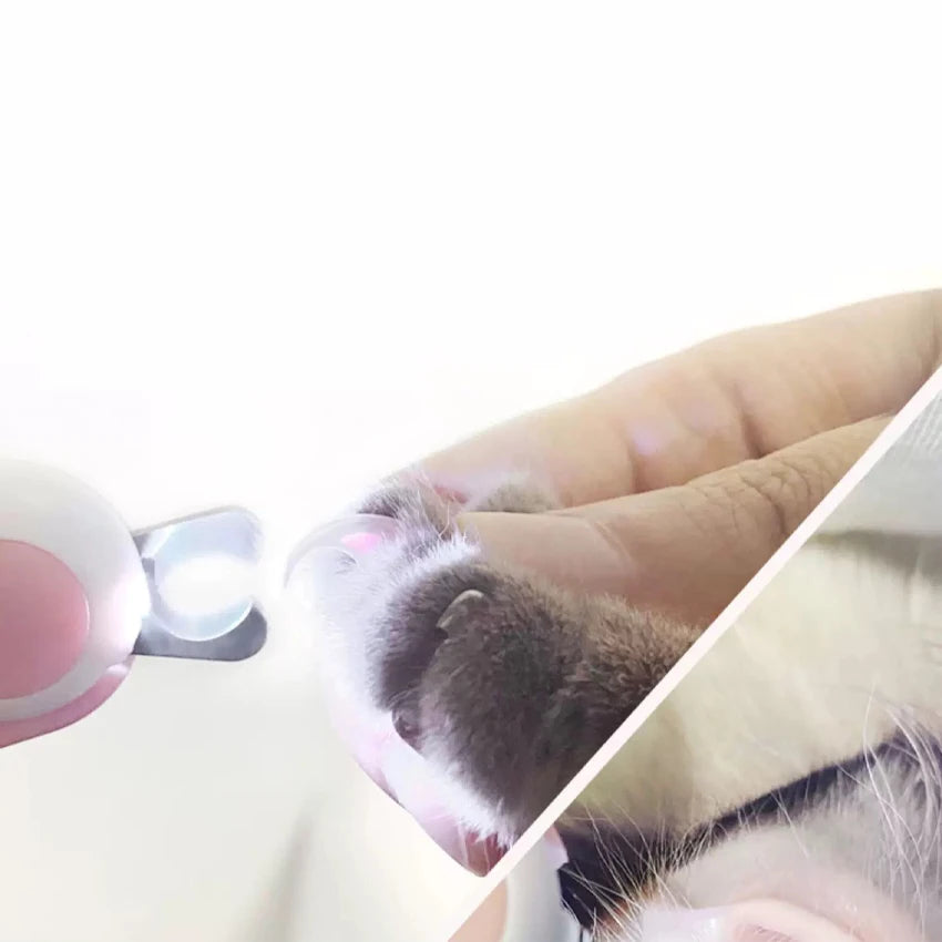 Mini Electric Pet Nail Clippers And Paw Trimmer For Cats And Dogs