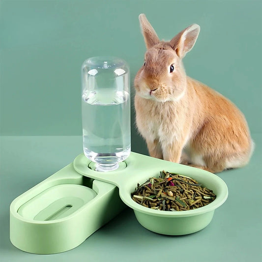 All In One Pet Food And Water Bowl Auto Feeder For Rabbits Chinchillas